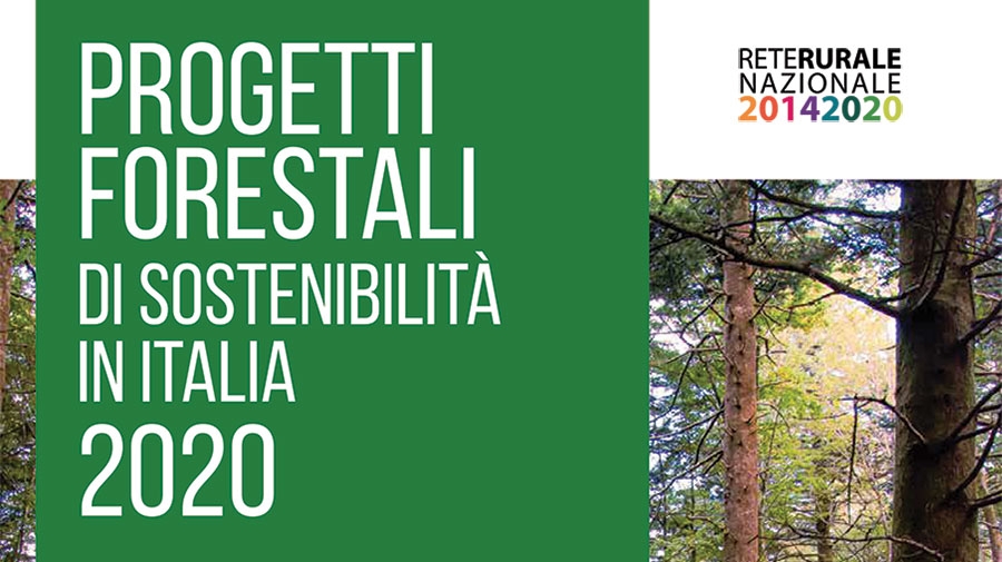 Presentazione del Report &quot;Progetti forestali di sostenibilità in Italia 2020&quot;